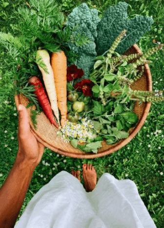 A basket of freshly harvested vegetables and herbs